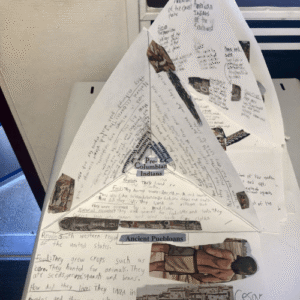 Student example of a Triorama Student Artifact Project