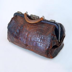 Alligator Purse from Susan B Anthony