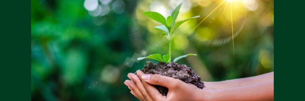 Growing-Plant-November-2025 Person holding a plant as part of environmental science study