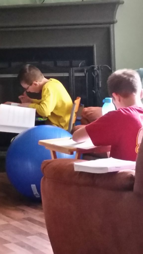 Studies Weekly homeschooling