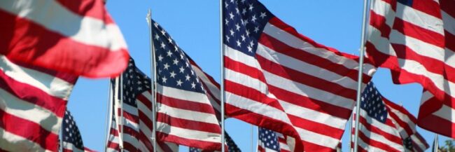 Veterans Day US Flags