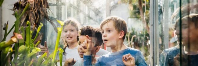 Kids looking at plants