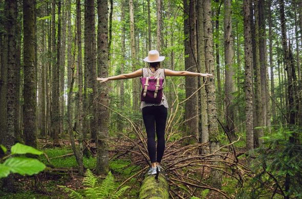 Woman-in-the-Forest-September-2025 Woman balance