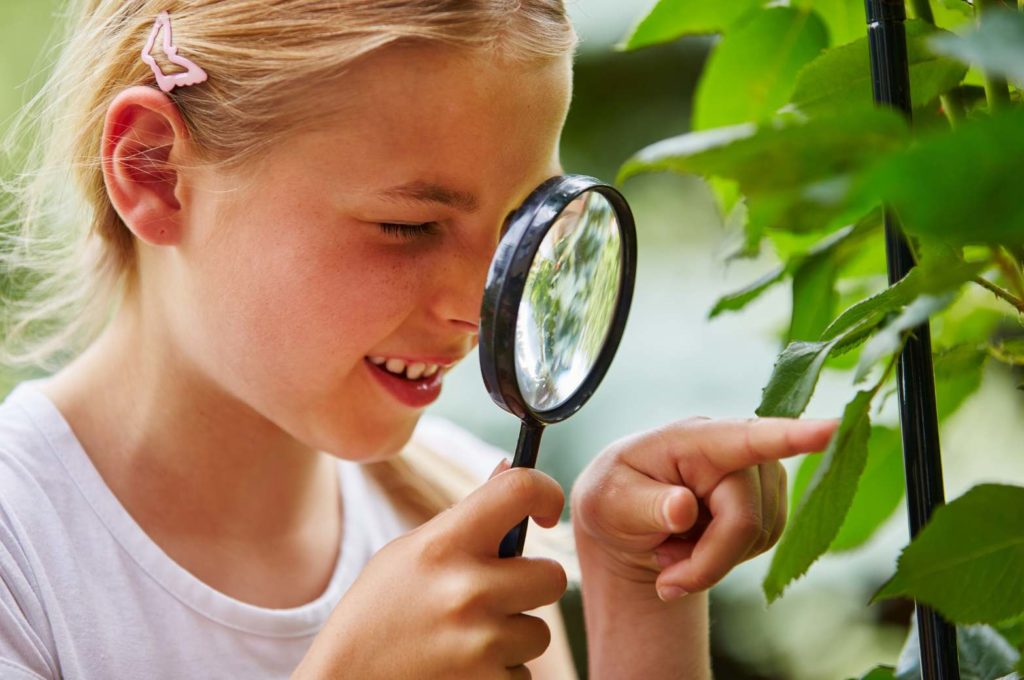 Curious child looking at the plant Curious child looking at the plant
