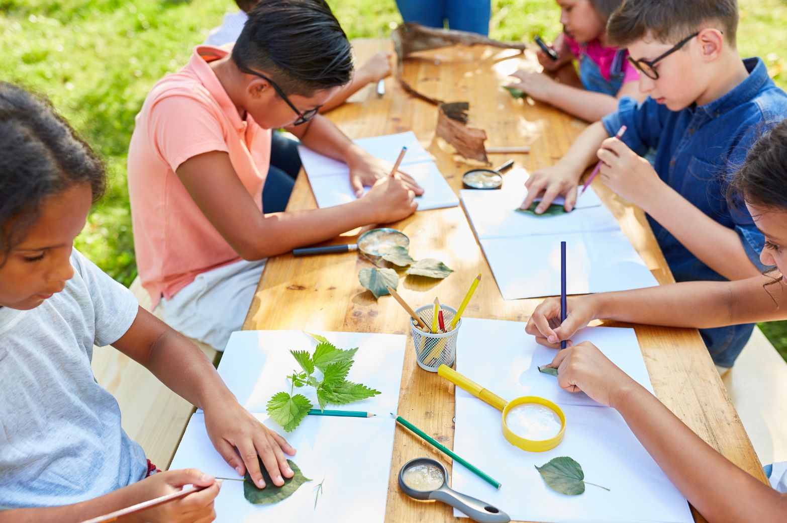 children learning biology Student doing phenomena-based learning outside in the nature