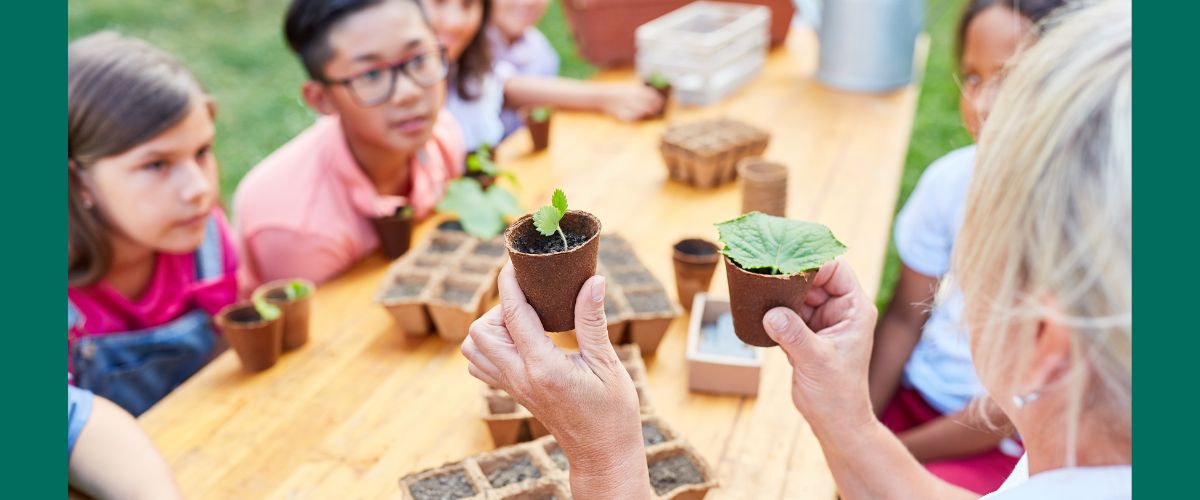 Blog Header 1200×500 science NGSS Next Generation Science Standards (NGSS) science curriculum - children studying science
