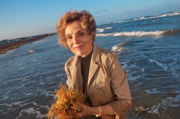 Sylvia-Earle-Nov-2025 Sylvia Earle