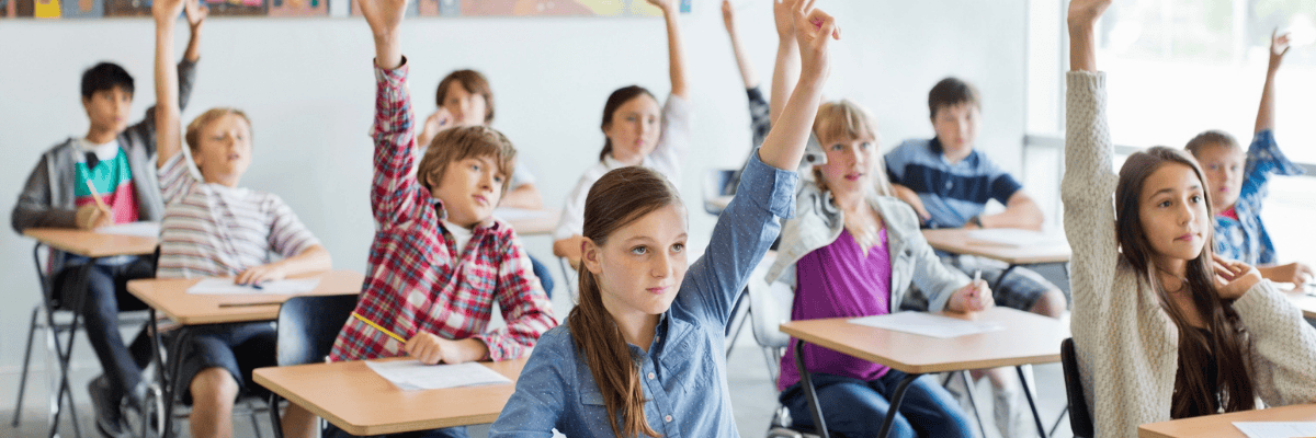 Students raising hands in the classroom