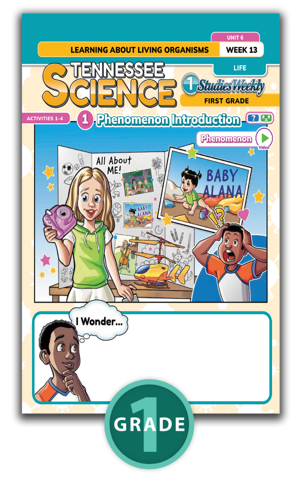 Tennessee Studies Weekly 3rd Grade