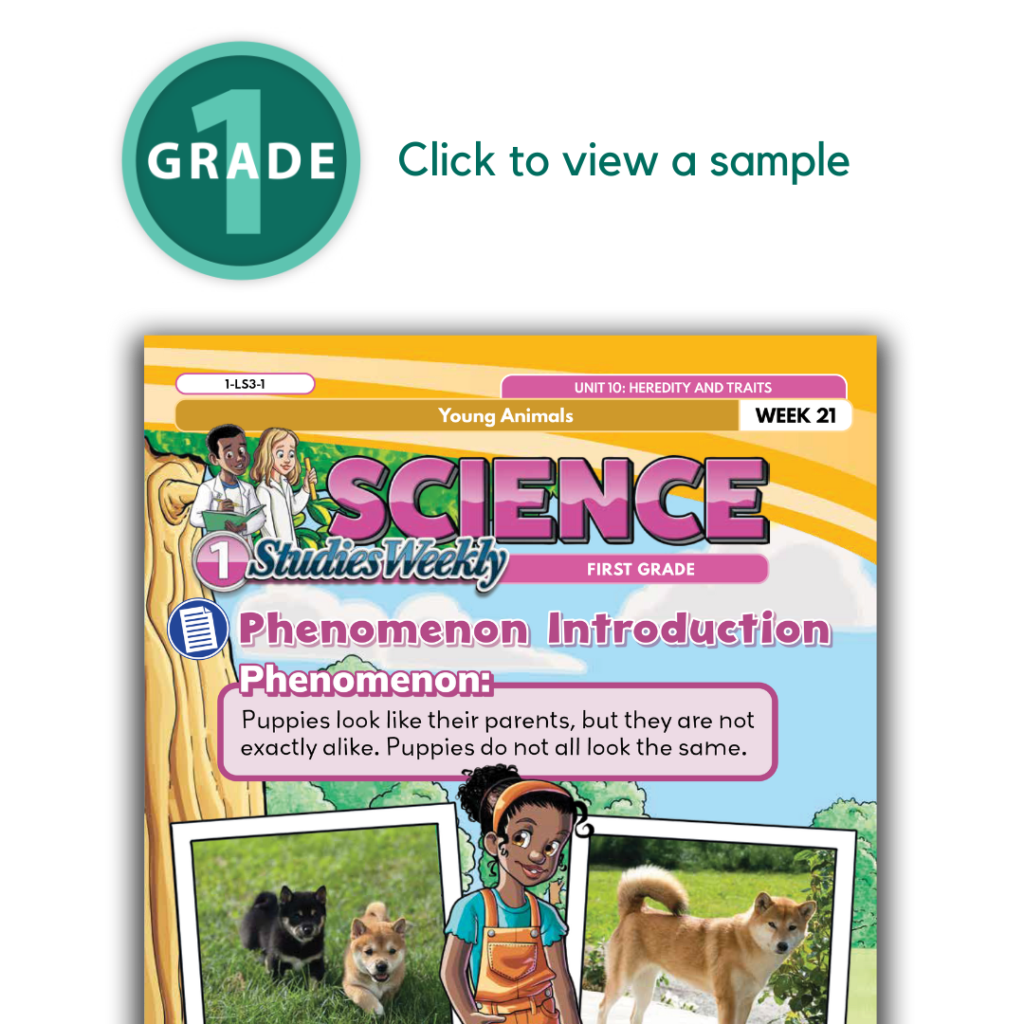 Science V2 1