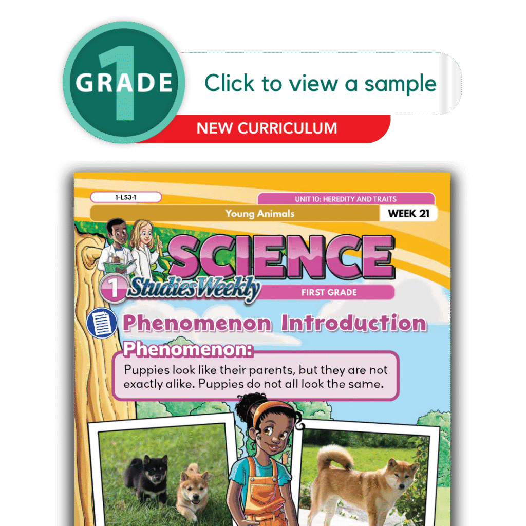 Studies Weekly Science Curriculum 1st Grade