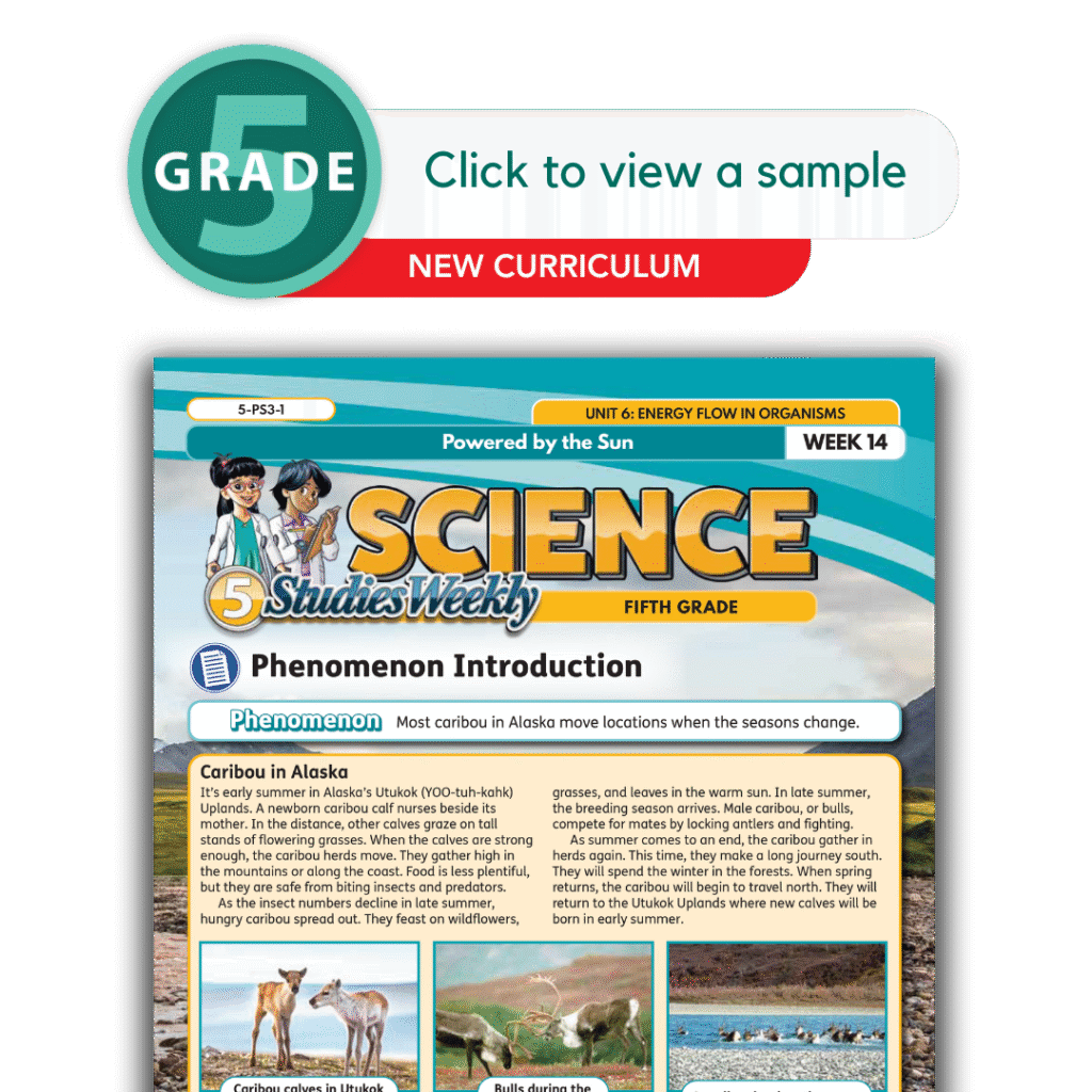 Studies Weekly Science Curriculum 5th Grade