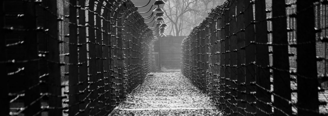 Auschwitz concentration camp German history
